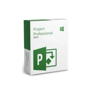 Project Profesional 2019